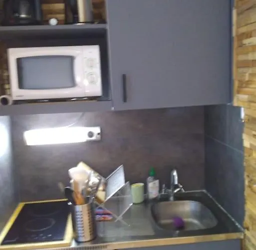 Apartament Elegant A Chamonix